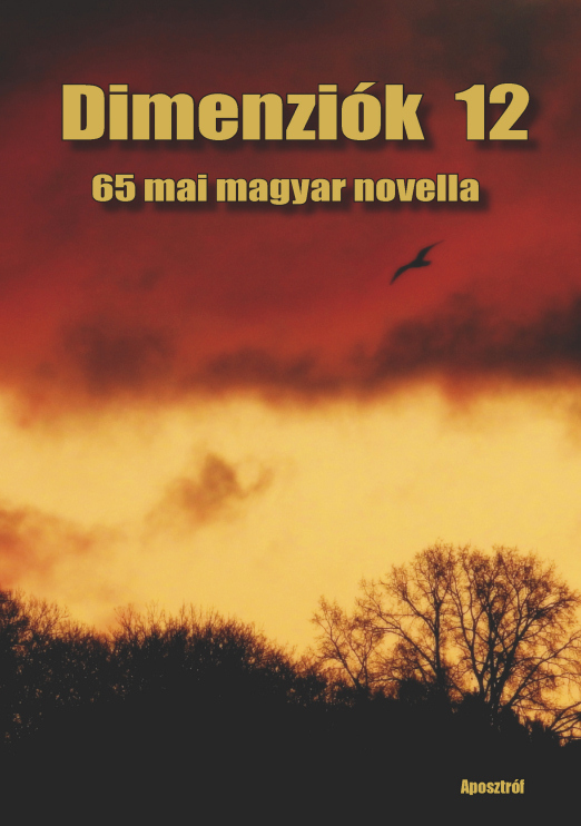Dimenziók 12 - 65 mai magyar novella